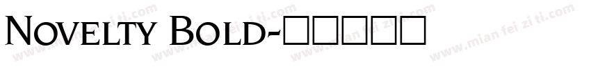 Novelty Bold字体转换